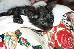    
: IMG_9396.jpg
: 13
:	147.5 
ID:	8439157