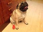     
: ImageUploadedByTapatalk1405855341.393646.jpg
: 34
:	160.9 
ID:	8439980