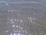     
: Image015.jpg
: 21
:	104.6 
ID:	8440518