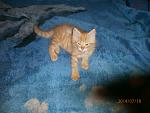     
: P7180043.jpg
: 8
:	137.0 
ID:	8440654