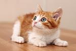     
: Sg788ctKyN4.jpg
: 13
:	30.1 
ID:	8441392