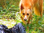     
: IMG_0869.jpg
: 17
:	246.1 
ID:	8441806