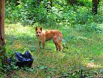     
: IMG_0865.jpg
: 14
:	310.8 
ID:	8441807
