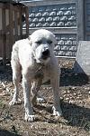     
: DSC_1540.jpg
: 13
:	142.6 
ID:	8442851