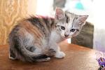     
: DSC_0680.jpg
: 6
:	59.3 
ID:	8444711