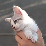     
: DSC_0695.jpg
: 6
:	52.4 
ID:	8444718