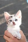     
: DSC_0699.jpg
: 10
:	40.9 
ID:	8444720