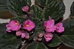     
: DSC_5213.jpg
: 145
:	155.9 
ID:	8445718