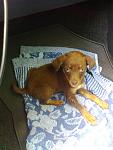     
: 20140719-003.jpg
: 14
:	67.8 
ID:	8450236