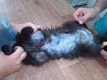     
: zSRCqYLo_hs.jpg
: 3
:	58.9 
ID:	8452208