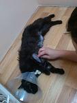     
: qzzP9xS-eUA.jpg
: 3
:	46.3 
ID:	8452209