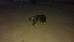     
: GDAPQCsuzV8.jpg
: 14
:	40.0 
ID:	8454905