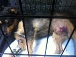     
: IMG_1410.jpg
: 4
:	136.1 
ID:	8458449