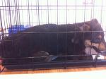     
: IMG_1412.jpg
: 4
:	121.6 
ID:	8458452