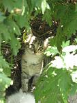     
: IMG_3409.jpg
: 8
:	95.9 
ID:	8460134