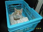     
: SAM_3414.jpg
: 11
:	125.8 
ID:	8463448