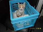     
: SAM_3413.jpg
: 8
:	113.9 
ID:	8463450