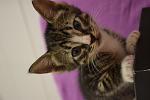     
: _DSC0078.jpg
: 7
:	72.9 
ID:	8463727