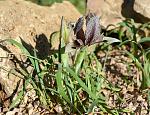     
: DSC_1605.jpg
: 5
:	196.1 
ID:	8466862