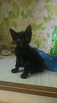     
: lF5N4EN_kLE.jpg
: 9
:	79.8 
ID:	8467437