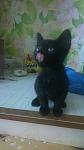     
: 06hoKyR8JCg.jpg
: 10
:	78.2 
ID:	8467438
