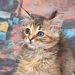     
: DSC_0738.jpg
: 6
:	107.3 
ID:	8467868