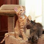     
: DSC_0751.jpg
: 8
:	70.9 
ID:	8467869