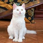     
: DSC_0760.jpg
: 6
:	71.2 
ID:	8467876