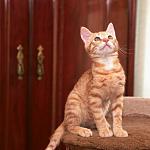     
: DSC_0714.jpg
: 8
:	69.7 
ID:	8468067