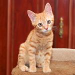     
: DSC_0717.jpg
: 3
:	69.0 
ID:	8468072
