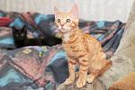     
: DSC_0739.jpg
: 5
:	55.8 
ID:	8468074