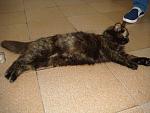     
: DSC05114.jpg
: 16
:	160.8 
ID:	8469523