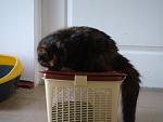     
: DSC05098.jpg
: 15
:	72.4 
ID:	8469525