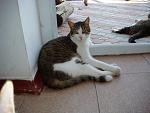     
: DSC05107.jpg
: 15
:	131.9 
ID:	8469552