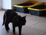     
: DSC05099.jpg
: 14
:	72.0 
ID:	8469585