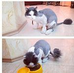     
: attachment.jpeg
: 36
:	72.4 
ID:	8470720