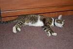     
: DSC_0018.jpg
: 5
:	139.2 
ID:	8470958