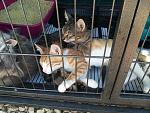     
: 20140725_143410.jpg
: 5
:	234.6 
ID:	8471733