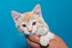     
: DSC_0963.jpg
: 8
:	38.3 
ID:	8473214