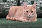     
: DSC_0997.jpg
: 9
:	59.4 
ID:	8473555