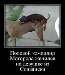     
: xVmsbK-3kJ0.jpg
: 47
:	47.4 
ID:	8477523