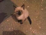     
: imageCAQ4XQH4.jpg
: 24
:	170.1 
ID:	8481030