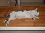     
: DSCN5045.jpg
: 33
:	88.8 
ID:	8481044