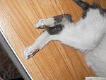     
: DSCN5046.jpg
: 46
:	140.9 
ID:	8481047