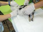     
: DSCN5044.jpg
: 30
:	84.6 
ID:	8481048