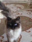     
: фотография.jpg
: 52
:	77.3 
ID:	8484750