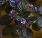     
: CRW_1275.jpg
: 128
:	215.0 
ID:	8484817