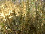     
: DSCN2633.JPG
: 15
:	246.7 
ID:	8486430