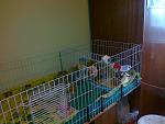     
: 170520141277.jpg
: 51
:	150.5 
ID:	8486930