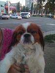     
: 2014731204824.jpg
: 21
:	79.9 
ID:	8488710